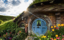 Auckland and Beyond Tours16