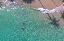 Greenway Nature Tours3229