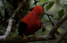 Terra Quechua Peru15