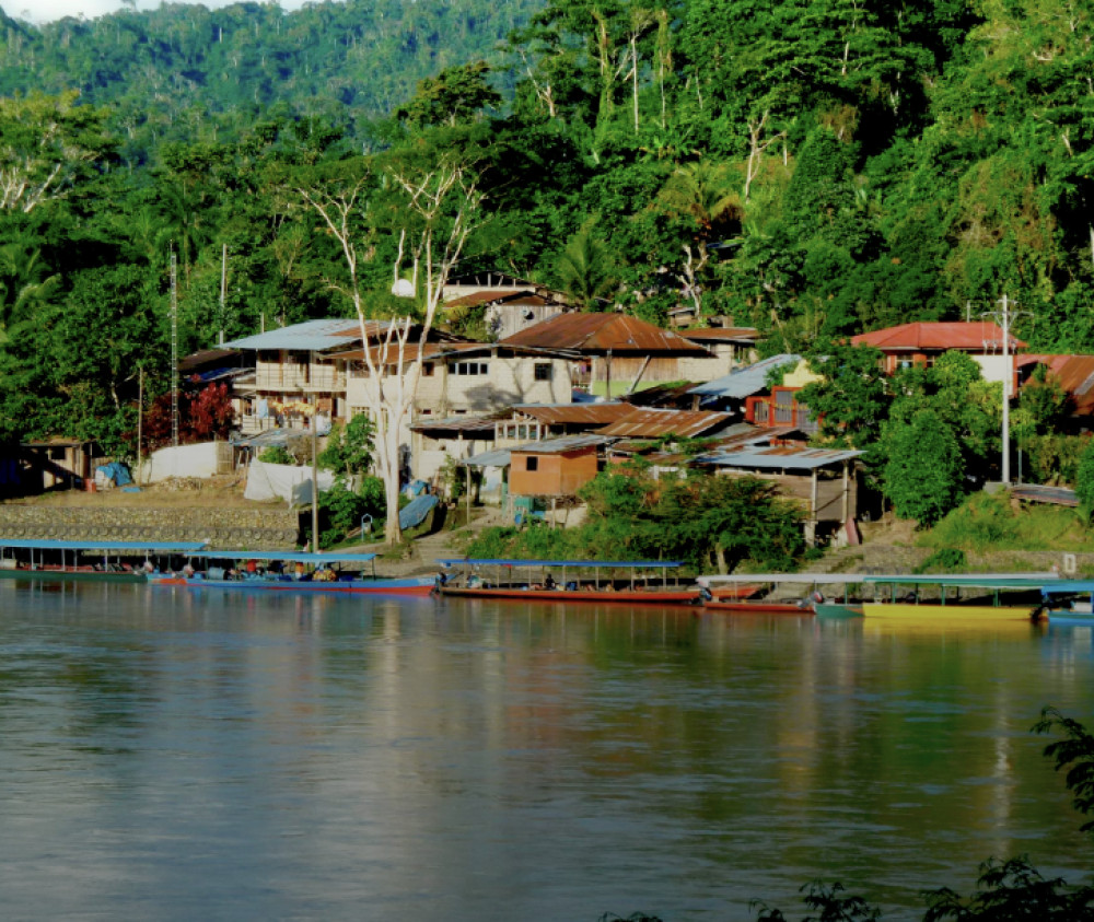 6-Day Amazon Wildlife Expedition in Manu Reserved Zone