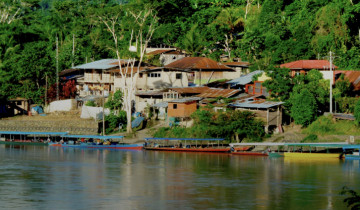 A picture of 6-Day Amazon Wildlife Expedition in Manu Reserved Zone