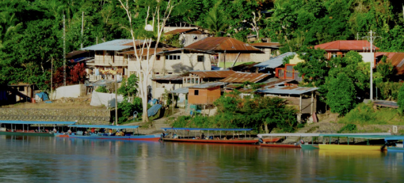 8-Day Wildlife Expedition in Manu Reserved Zone, Peruvian Amazon