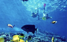 Edwin Transfers Tours17