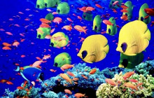 Edwin Transfers Tours15