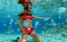 Edwin Transfers Tours18