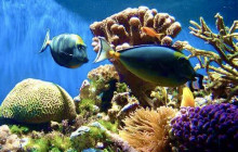 Edwin Transfers Tours17