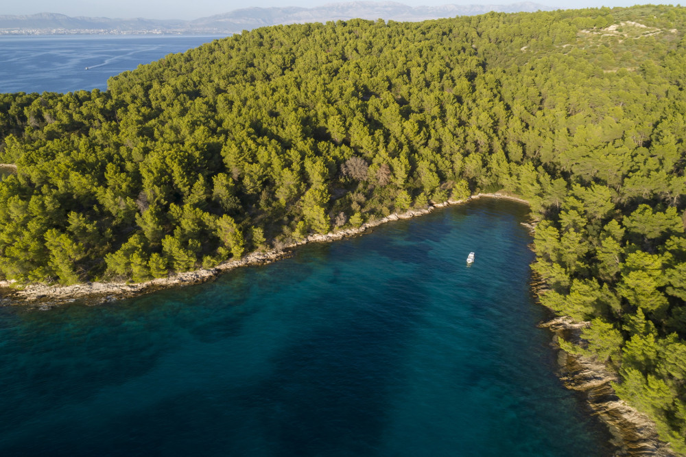 Bonaca - Private Boat tours
