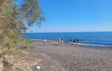 Santorini Golden Tours3