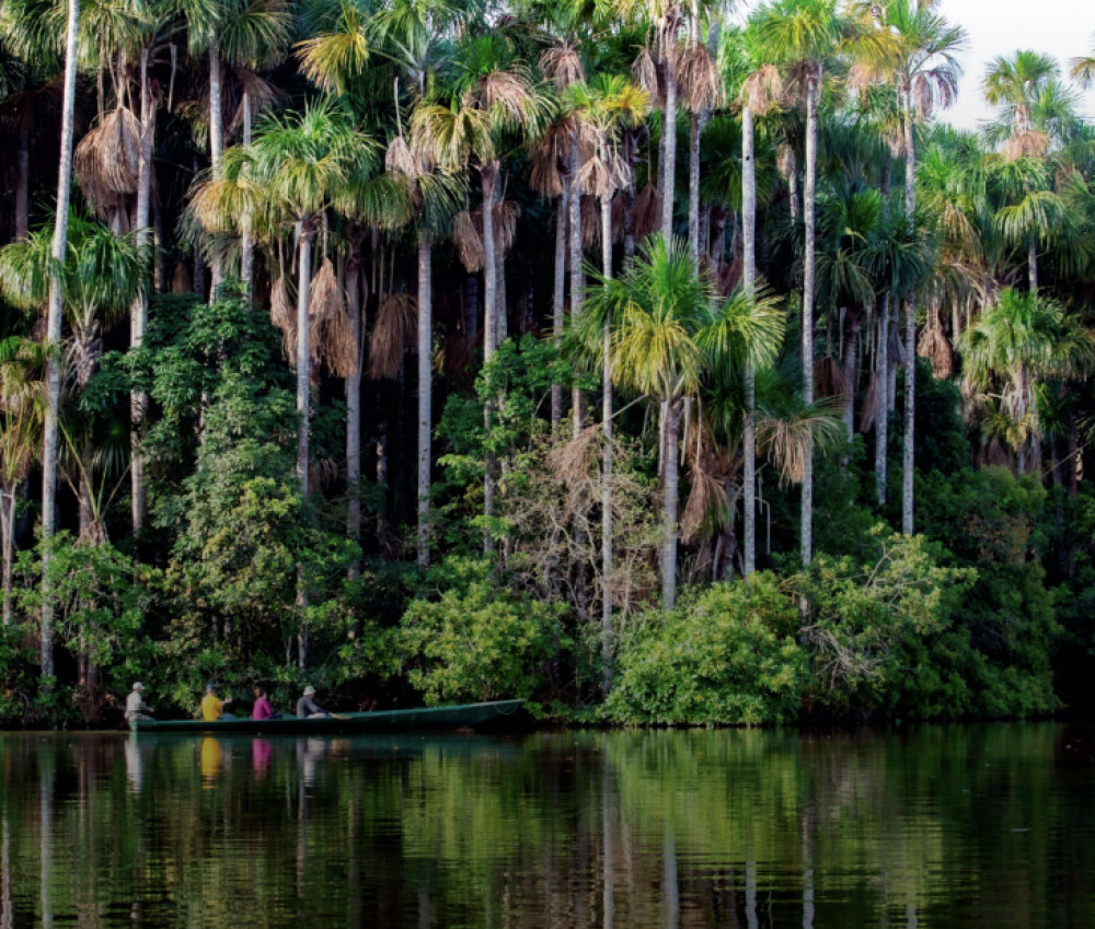 5-Day Tambopata Amazon Expedition with Macaw Clay Lick