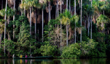 A picture of 5-Day Tambopata Amazon Expedition with Macaw Clay Lick