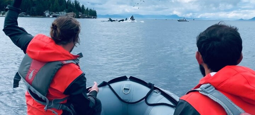 Ketchikan Zodiac Boat Adventure