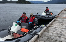 Ketchikan Kayak Co12