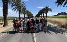 See Adelaide and Beyond10