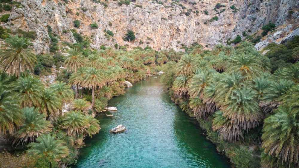 Nature Adventure in Preveli Palm Beach and Gorge Hike