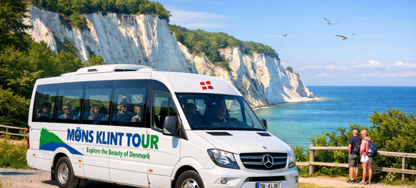 Møns Klint and The Forest Tower - A Day Tour from Copenhagen
