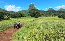 ALBERT TRANSPORT ET LOCATION12