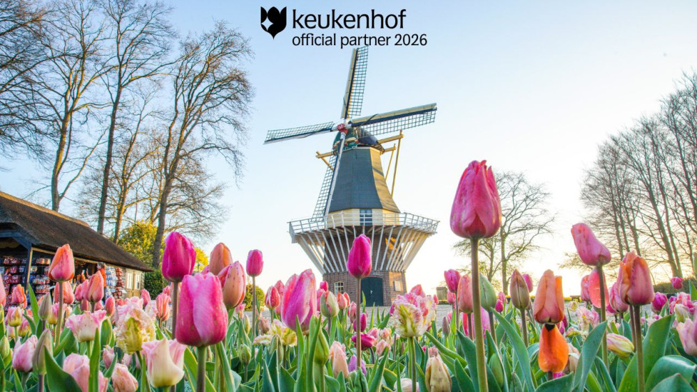 Amsterdam Airport: Keukenhof Shuttle & Entry with Flexible Return