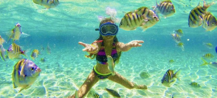 Cayo Arena & Mangroves Tour with Snorkeling & Food