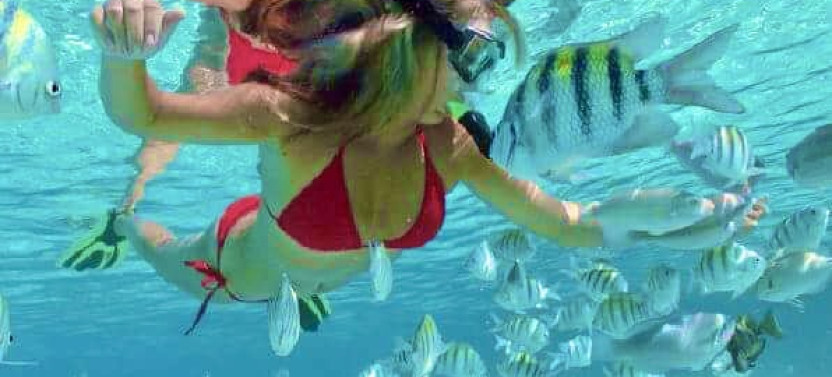 Cayo Arena & Mangroves Tour with Snorkeling & Food