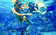 Edwin Transfers Tours6