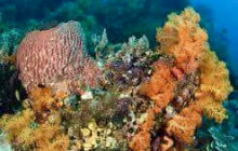 Edwin Transfers Tours18