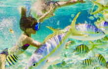 Edwin Transfers Tours9