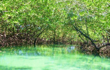 Edwin Transfers Tours12