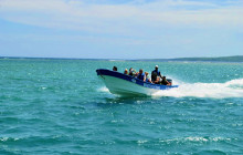 Edwin Transfers Tours19