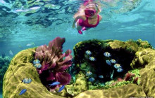 Edwin Transfers Tours16