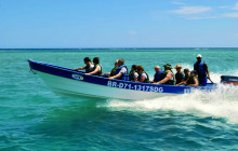 Edwin Transfers Tours17