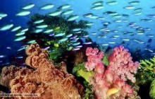 Edwin Transfers Tours18