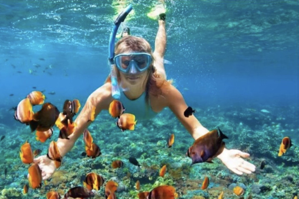 Edwin Transfers Tours