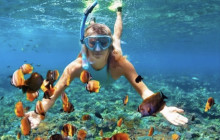 Edwin Transfers Tours22