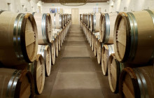 Entre Vides Bordeaux15