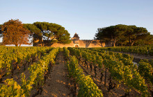 Entre Vides Bordeaux4