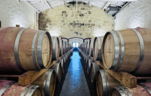 Entre Vides Bordeaux5