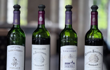 Entre Vides Bordeaux6