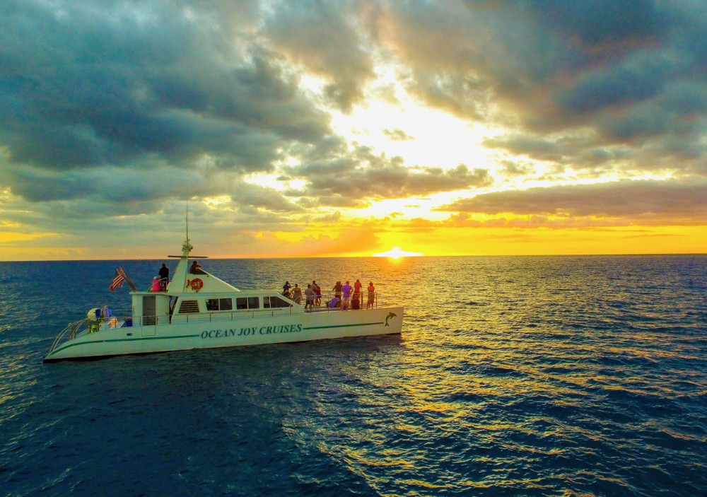 Luxury Sunset Whale & Dolphin Watch, Snorkel Cruise with Dinner and Drinks
