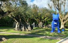 Azimuthfuture unipessoal16