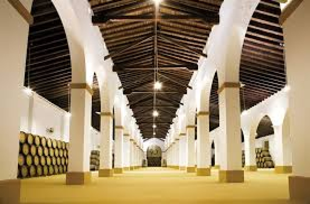 Exclusive Bull Ranch, Winery & La Rábida Monastery Experience