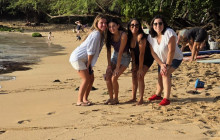 Hawaii Turtle Tours3