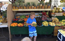 Hawaii Turtle Tours9