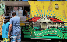 Hawaii Turtle Tours10