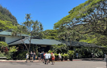 Hawaii Turtle Tours15