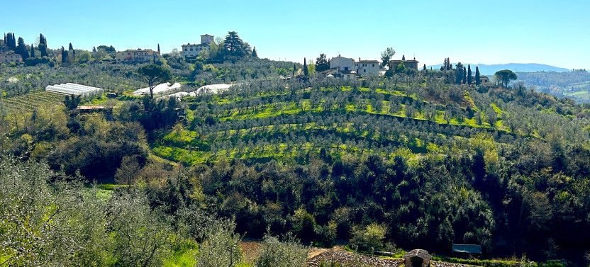 Florence Countryside E-Bike Tour with Olive Oil,country Italy