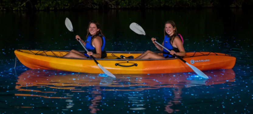 Night Clear Kayak Tour in the World’s Brightest Bioluminescent Bay,country Puerto Rico