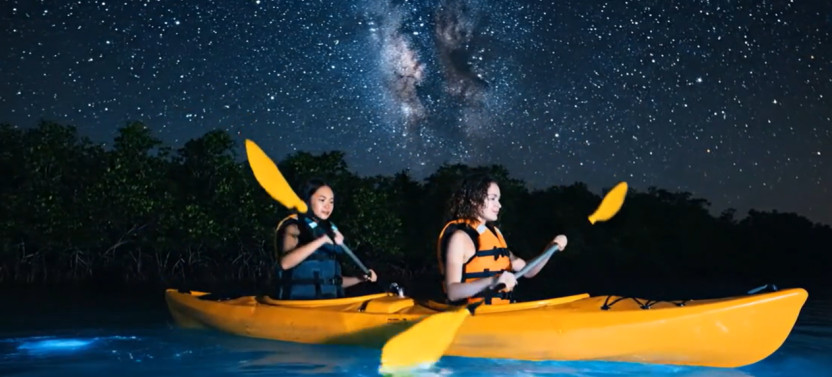 Night Clear Kayak Tour in the World’s Brightest Bioluminescent Bay,country Puerto Rico