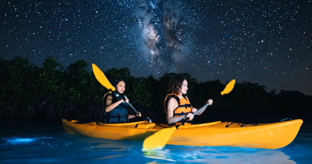 Clear Kayak Tour in the World’s Brightest Bioluminescent Bay