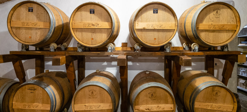 Florence E-Bike Tour in the Tuscan Countryside with Winery Tasting,country Italy