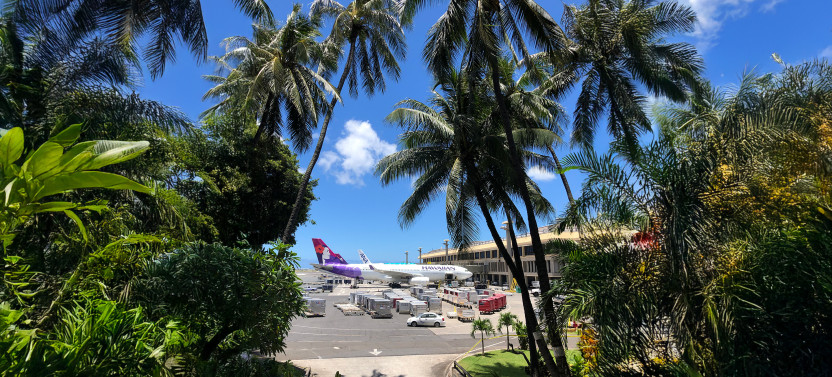 Honolulu Oahu Airport - Classic Lei Greeting